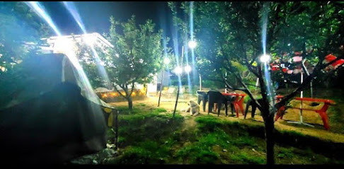 Organic stays manali