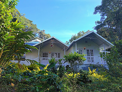 Rainforest Munnar Resort