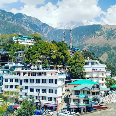 Hotel Freedom Palace