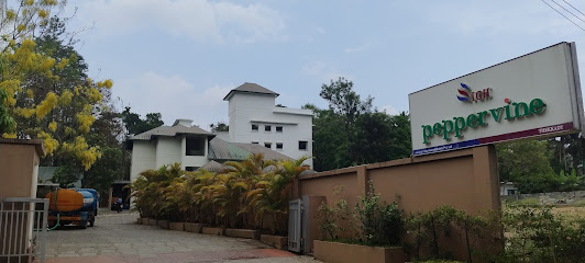 Hotel PepperVine Thekkady