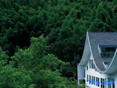 Suichang Shuianyitu Hotel