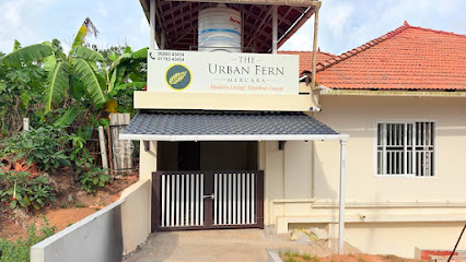 The Urban Fern Mercara