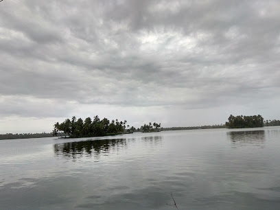 Vila Bacopa