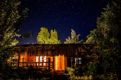 Mud House Nature Tones