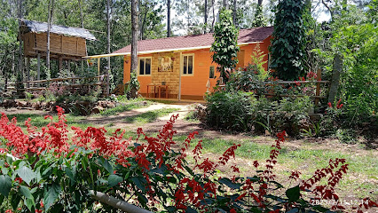 Farmer homestay