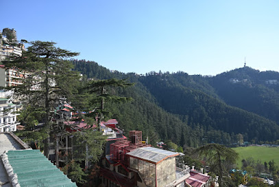 The Cedar Bliss Shimla