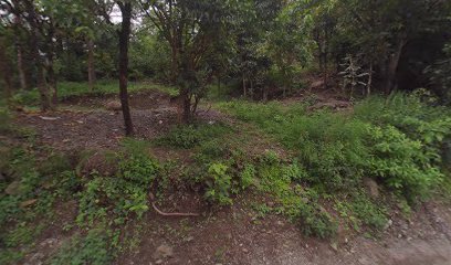 Shanti Vanam Home Stay