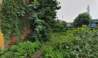 House of dhanraj maravi