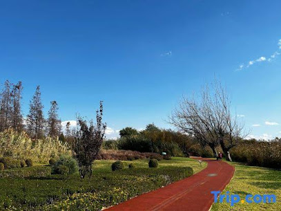 昆明环湖路滇池会展中心轻居酒店