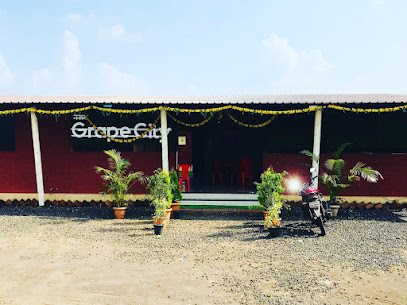 Hotel The Grape city