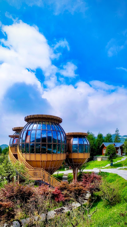 梅花山国际度假公园酒店