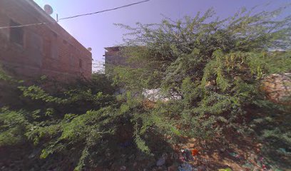 Hotel Dream Heritage Jaisalmer