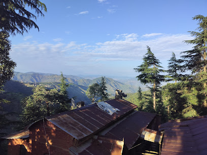 Tree Valley Homestay Chail