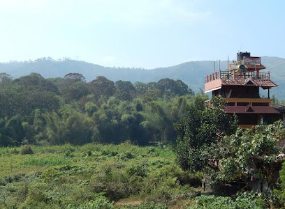Wild View