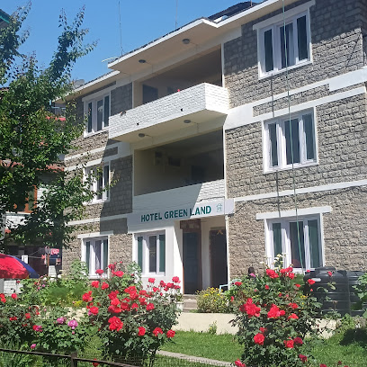Hotel Green land manali