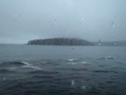 Chim Island