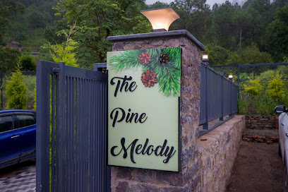 The Pine Melody by Aerostays