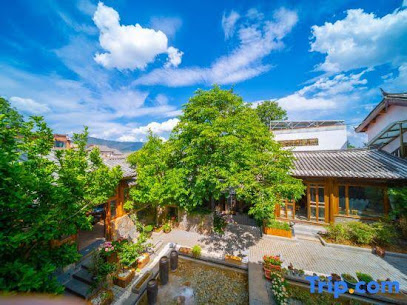 云柏·隐柿山院