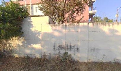 Skyzone Hotels and Resorts