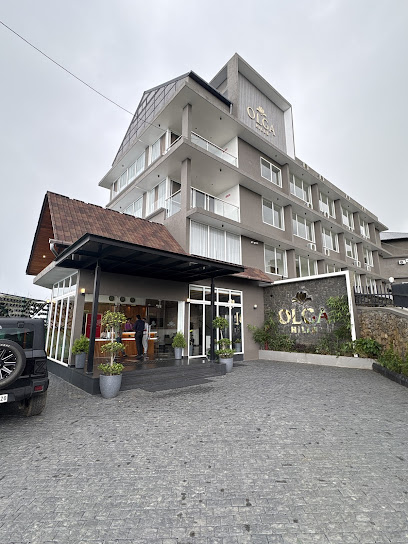 Olga Resorts