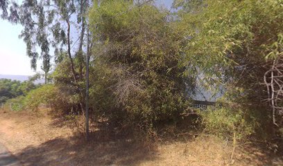 Tranquil - A lakeside Camp and cafe