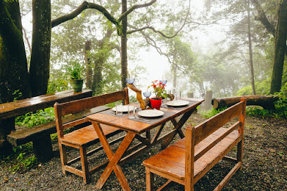 The Camphor Tree Lakefront Jungle Lodge