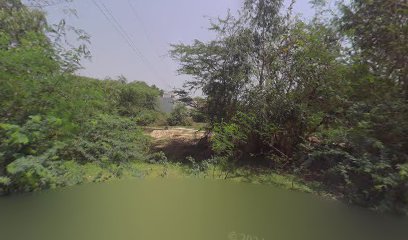 Suneel Manoj