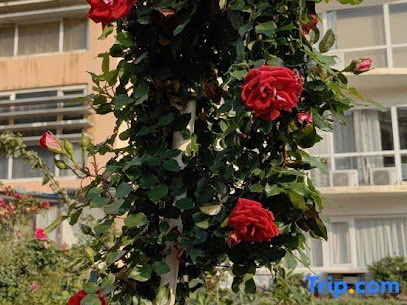 Demei Boutique Hotel