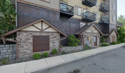 Alpine Village Resort LLC