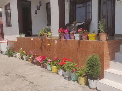 Om Guest house and homestay