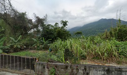 欣欣美地民宿