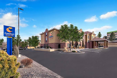 Comfort Suites Lakewood - Denver