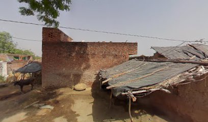 Braula (vijayraj)