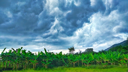 Krishnagiri farm house
