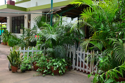 Exotica Tropicana Homestay