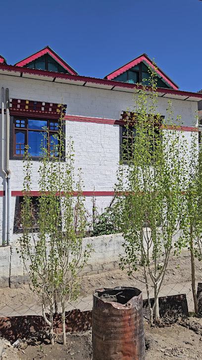 Yankit home stay kaza