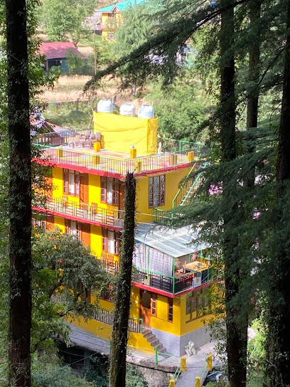 Mustard House -Dharamkot. Travellers Homestay