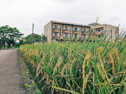 罗东小客栈民宿