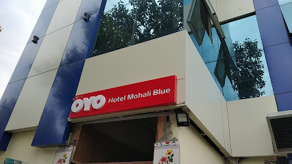 Hotel Mohali Blue