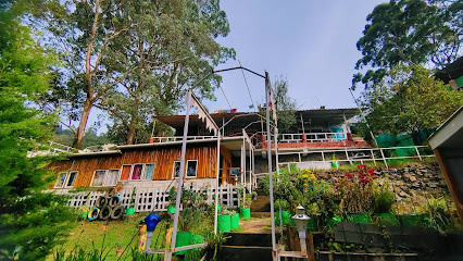 Dolphin Valley Resorts