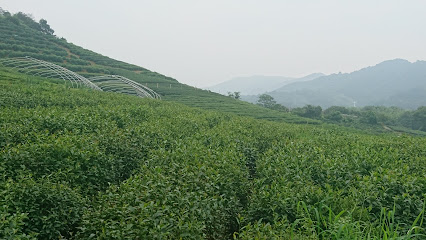 Huaxiangyuan Retreat