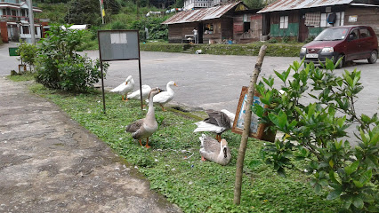 Lampokhri lake view home stay