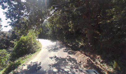 The Mukteshwar Inn Resort