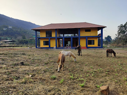 King's Landing, モカ市