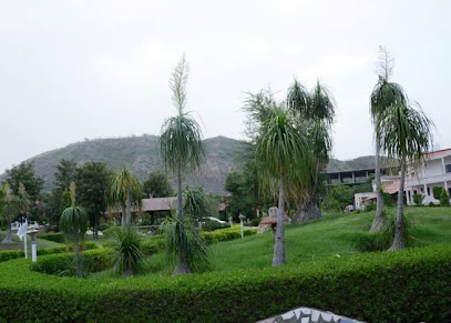 Rajmahal Resort Neemrana