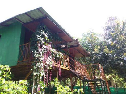 junglemistcottage