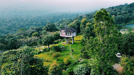 Tree Hut Kanthalloor