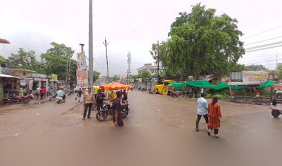 Parihar house