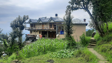 Sunny home stay