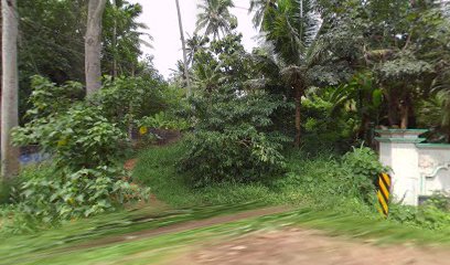 OYO Home